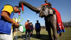 The beauty contest begins (Picture from MSN India)