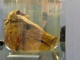 The famous Pigs Head thrown at Luis Figo now sits in the Barcelona club museum  (Image from Getty)