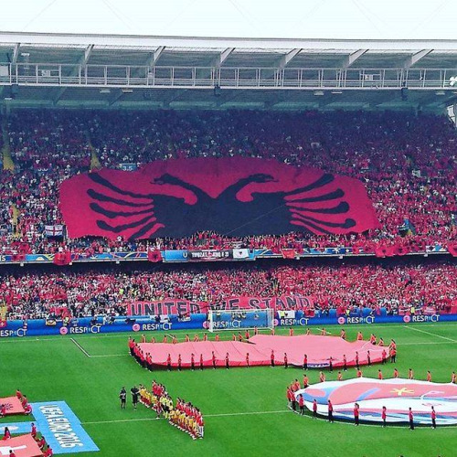 tumblr_o8pku45Mxf1vrwlvoo1_500